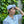 [Store exclusive] Aloha 2026 Cycle Cap