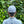 [Store exclusive] Aloha 2026 Cycle Cap