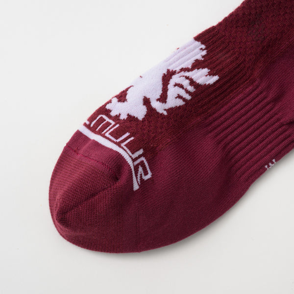 Cycle racing socks KAPELMUUR logo