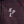 Racing Thermo Jacket Leaf Drift