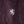 Racing Thermo Jacket Leaf Drift