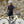 Light Warm Jersey Abstract