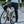 Windshield Bib Tights EVO3