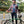 Long-sleeved cycling jersey - Darlington